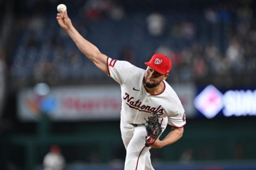 Nationals Release Julian Fernández
