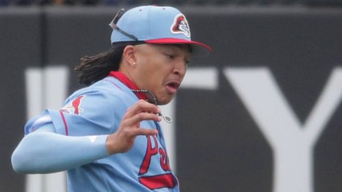 Springfield Cardinals' success bodes well for St. Louis's future
