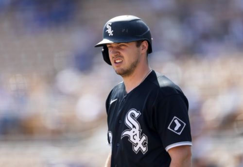 White Sox Minor League Update: June 16, 2026
