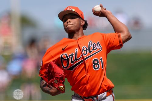 Orioles minor league recap 7/6: Baysox, Shorebirds both throw shutouts