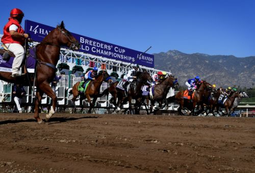 Place Your Bets on the 2026 Arizona Diamondbacks: And, they’re off!