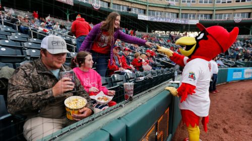 Cardinals minor league affiliate trolls controversial umpire by offering hilarious giveaway