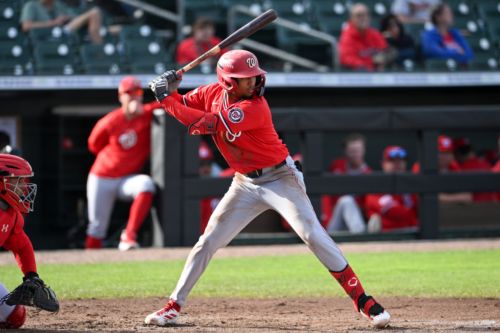 Ronny Cruz Is Transforming As A Hitter in High-A Wilmington