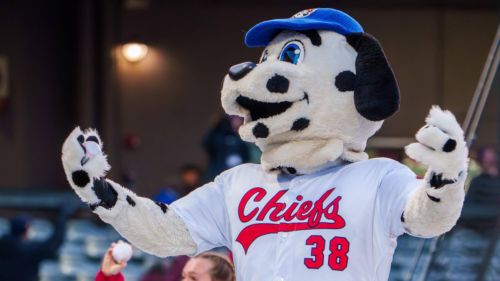 Underrated Cardinals prospect sets new Peoria Chiefs record