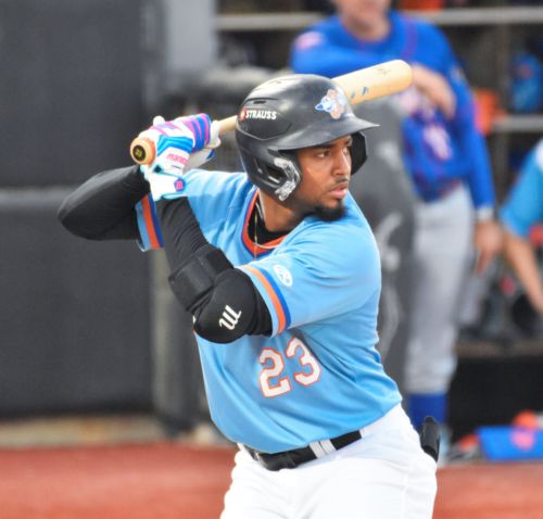 MINOR LEAGUE GAME SUMMARIES FOR 8/23/2026