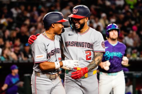 Diamondbacks 1, Nationals 14: Pride. It Only Hurts.