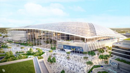 What one special feature do you want to see in the new Rays stadium?