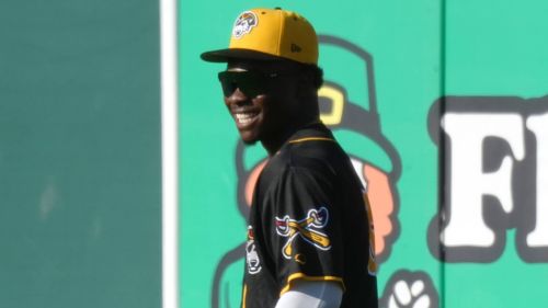 Tigers fans' Dodgers prospect ranking conspiracies are funny, but miss major point