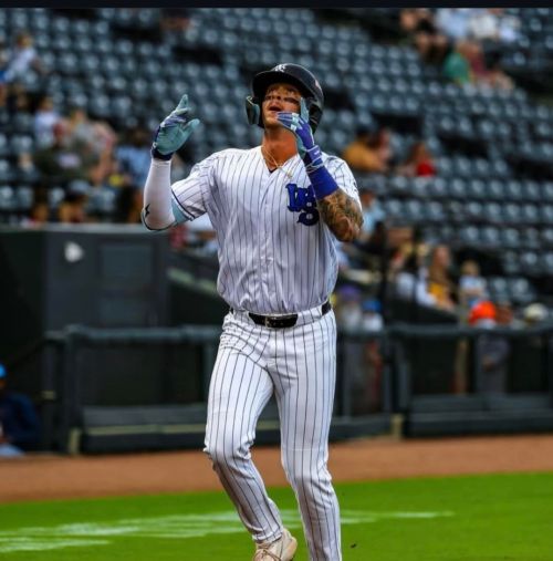 White Sox Minor League Update: July 2, 2026
