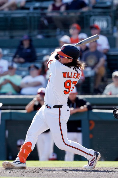 Which lower-ranked Orioles prospects are worth following?