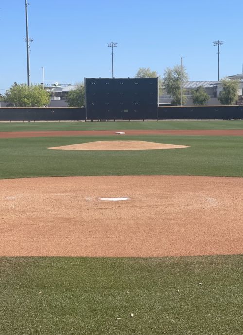 Raising Arizona 2026 V. 1