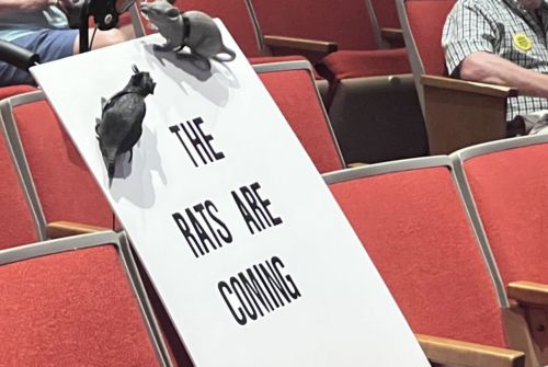 The Rats of Other Angels