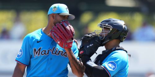 Marlins’ backstops working to master the art of the challenge