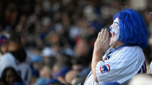 Cubs' injury conspiracy theorists validated with latest prospect injury
