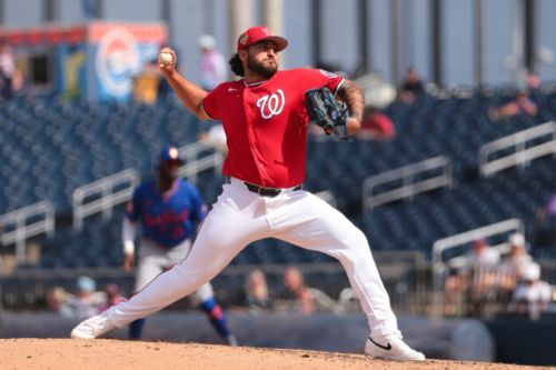 Tigers Claim Andre Granillo