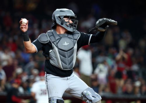 White Sox Designate Reese McGuire, Select Drew Romo