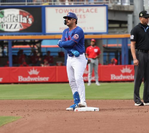 Tauchman Injured in Mets 7-5 Loss, Plus Notes From Split-Squad Loss to Nats