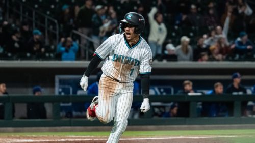 Knights secure opening weekend sweep with successive walk-offs