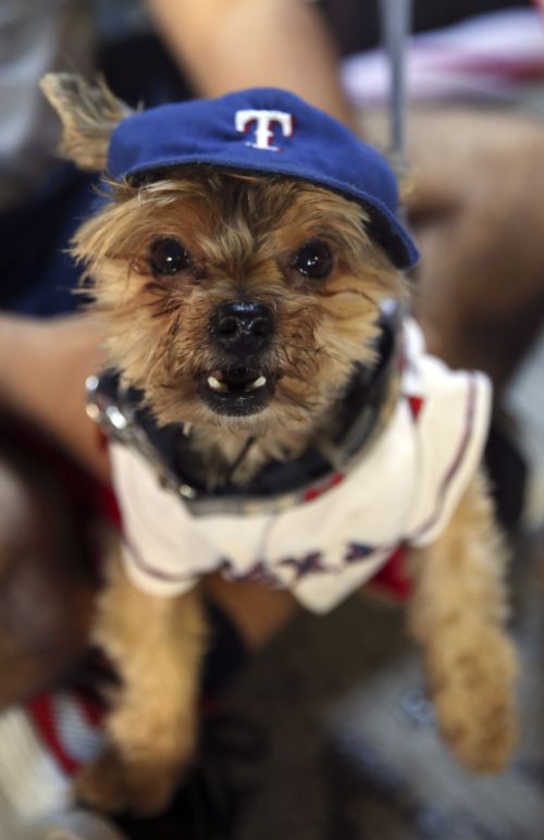 12-11 – Rangers all bite in Bark at the Park finale win over Pittsburgh