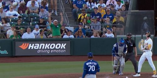 Nothing stops World Cup fever as fan screams 'goal!' from behind home plate