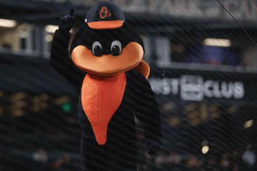 Orioles minors weekly recap: Dzierwa strikes out more in AA