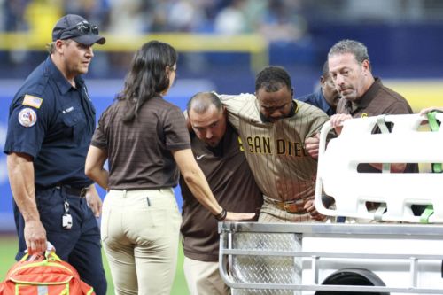 Luis Rengifo Diagnosed With Torn ACL