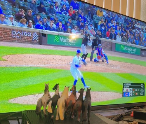 Diamondbacks 0, Tiny Bears 2: Who Brought Bears to the Horse Race?!??