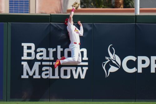 Where Will Cardinals Land in NL Central in 2026?