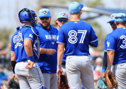 Quick Spring Recap: Jays Lose To Rays