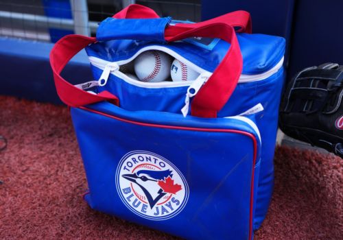Blue Jays prospect Silvano Hechavarria promoted to High-A Vancouver