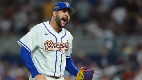 Enmanuel De Jesus’ heroic WBC effort just earned him big promotion with Tigers