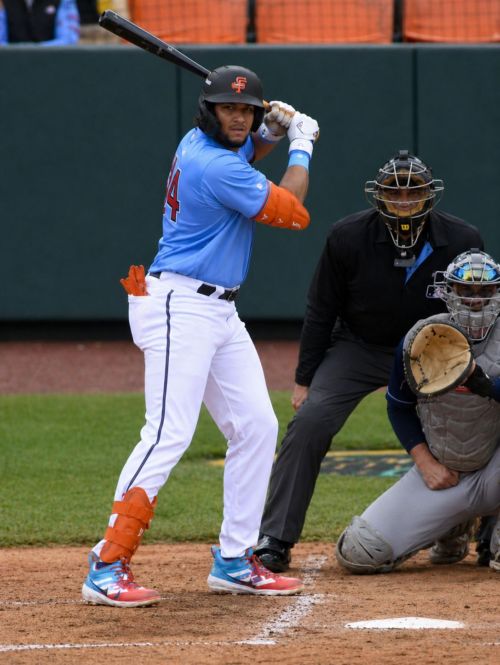 MINOR LEAGUE GAME SUMMARIES FOR 8/29/2026