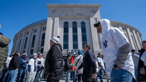 Ben Verlander just tried (and failed) to get Yankees fans off his back over terrible tweet