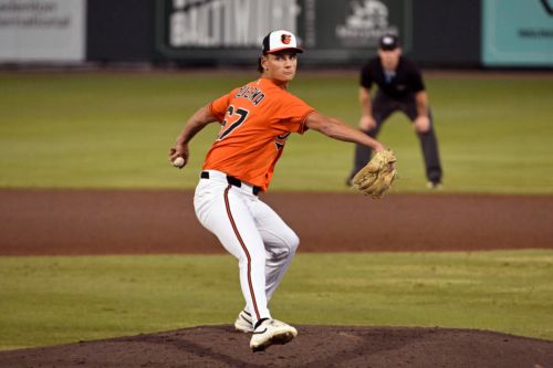 Orioles minor league recap 8/13: Dzierwa dominates in Double-A yet again