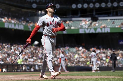 Transaction Analysis: The Angels of Hatred