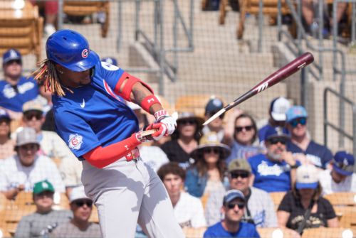 Iowa Cubs Wrap: I-Cubs fall late to Columbus, 4-3