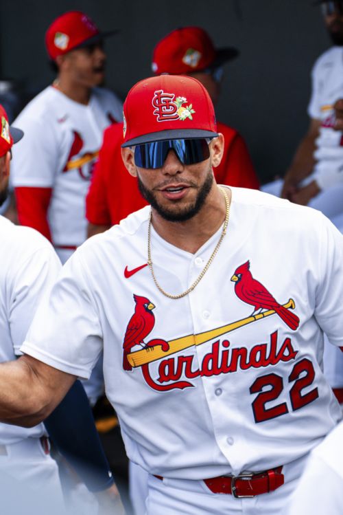 Should Jordan Walker or Joshua Baez Be St. Louis Cardinals Starting Right Fielder?