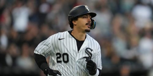 Upstart White Sox have that dog (or lion?) in them
