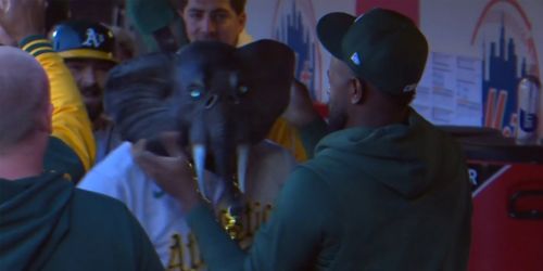 A's new home run celebration is amazing, but also somewhat terrifying