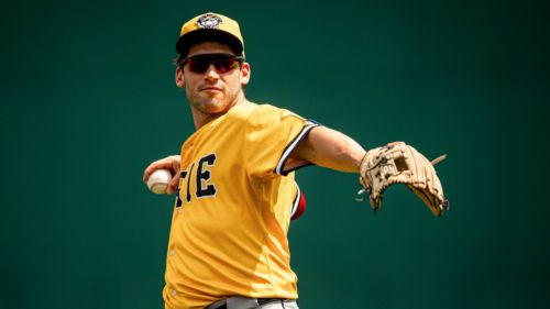 Unranked prospects Tigers fans should keep an eye on as Double-A team makes playoffs