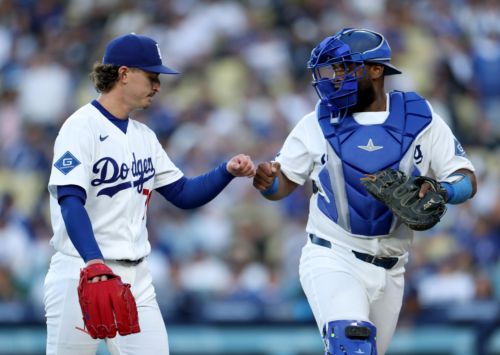 Justin Wrobleski keeps Rays grounded, Shohei Ohtani homers in Dodgers win