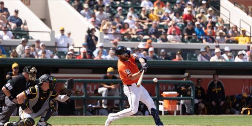 Rogers sustains mild concussion after 'scary incident' in the cage