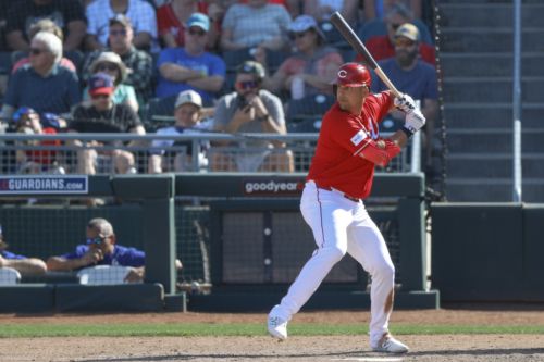 The bench bat battle on the Cincinnati Reds roster