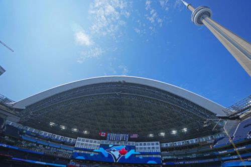 Blue Jays Claim Rudy Martin Jr.