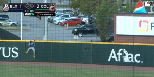 You've seen a home run robbery -- but have you seen one like this?!