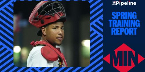 19-year-old catching prospect could help Twins' system take flight