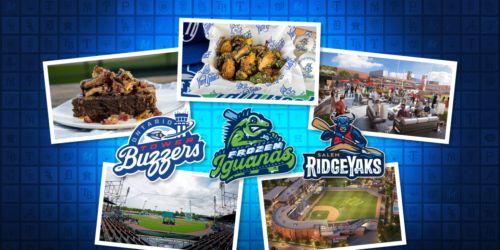 Here's 1 must-visit Minor League spot from every farm system for 2026