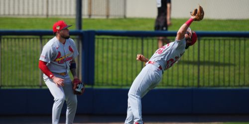 Saggese setting himself up to be jack of all trades for Cards