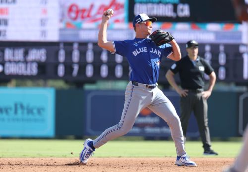 Blue Jays minor leaguers will get a chance to shine in Spring Training during the World Baseball Classic
