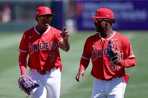 Top Standouts in the Los Angeles Angels’ Farm System